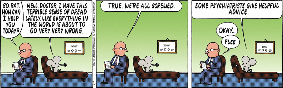 в какой стороне орлы?