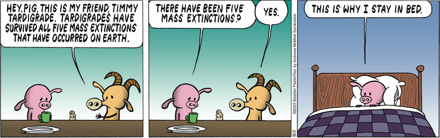 давайте посчитаем: рэйверы, панки, эмо, готы, хипстеры. пять, всё сходится.