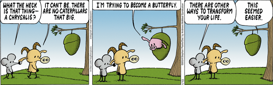 Гусеница зевнула.

— Лень мне раздумывать над твоим советом, — сказала она. — Да и зачем мне становиться бабочкой? Мне и гусеницей-то быть лень. А станешь бабочкой – придётся крыльями махать. Лень. И с тобой разговаривать тоже лень. Прощай...