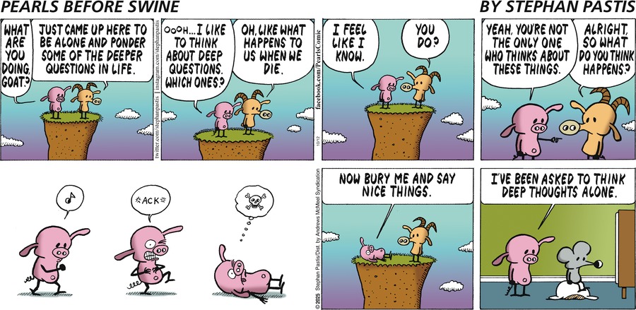 Особенно я ненавижу, когда вечностями швыряются. Братья навек. Вечная дружба. Навеки вместе. Вечная слава… Откуда они всё это берут? Что они видят вечного?